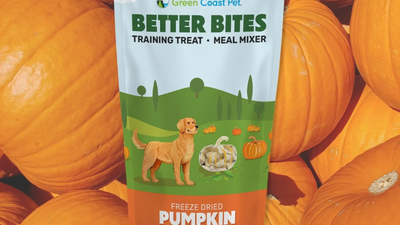 Is Pumpkin Good For Dogs?