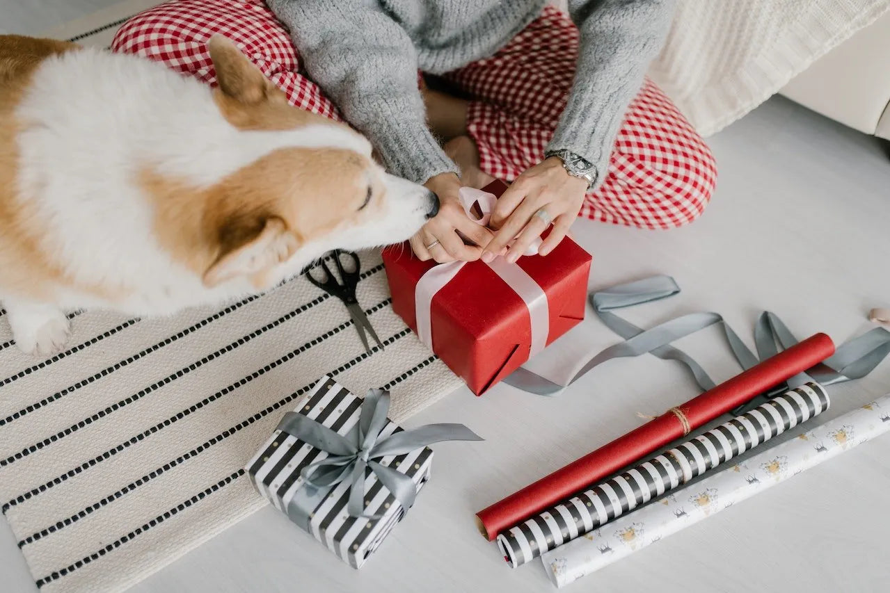 Gifting Pets for the Holidays