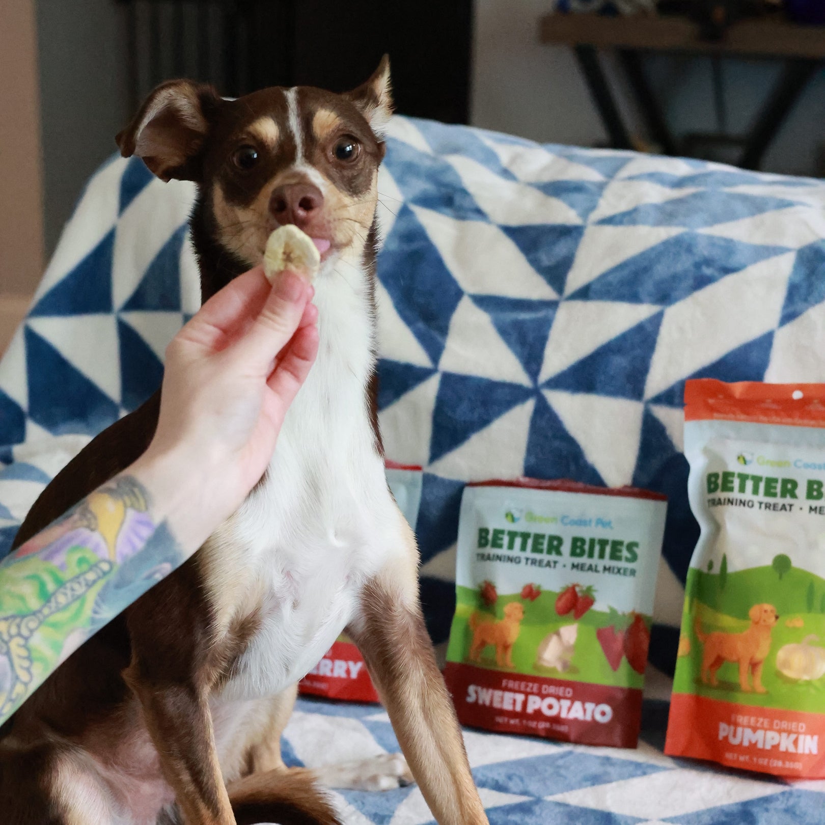 Better Bites - Pumpkin