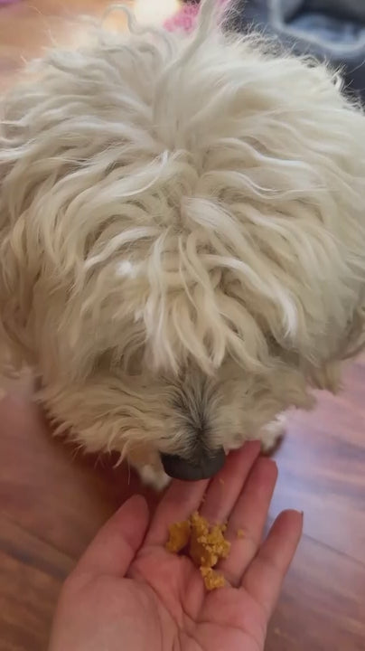 Natural Dog Treats – Banana Healthy Snacks